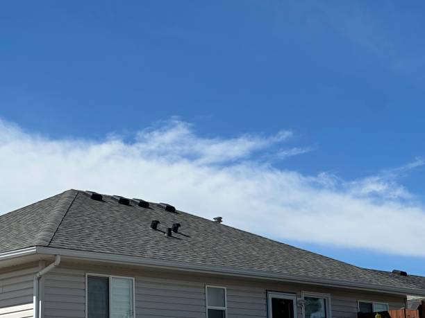 Best Sheet Metal Roofing  in New Hartford Center, CT